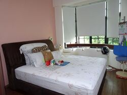 Vanda Road (D11), Condominium #595964771